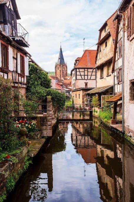 Appartements « La Parenthese » Wissembourg Exterior foto