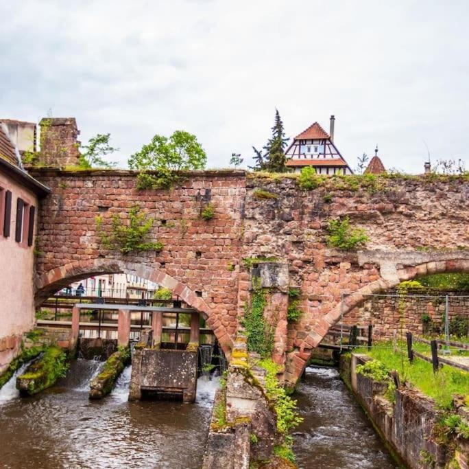 Appartements « La Parenthese » Wissembourg Exterior foto